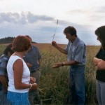 Wo das DACHAUER LAND Mehl wächst
