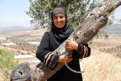 Oliven, Öl, Holz und Seife – Olivenbaumprodukte aus Palästina
