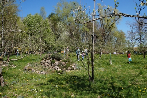 Osterfest im Pflanzgarten – die schöne Fairbindung zwischen dem Verein für Gartenbau und Ortsverschönerung und dem Fairkaufladen
