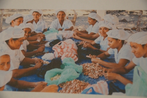 Weltfrauentag 2026 und UN-Jahr „Frauen in der Landwirtschaft“